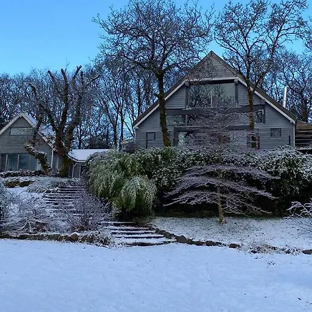 Forest Retreat * Sligo