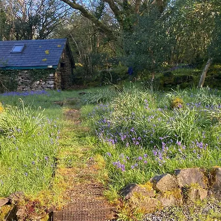 Forest Retreat Сasa de vacaciones Sligo