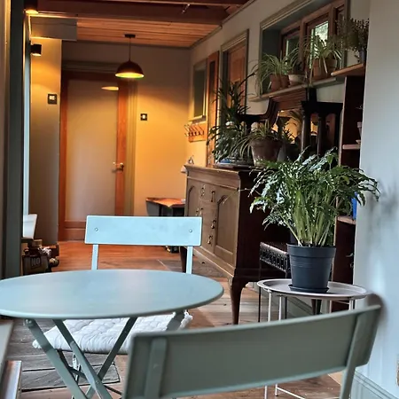 Forest Retreat * Sligo