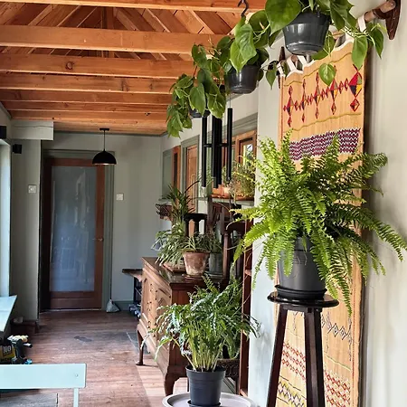 Forest Retreat * Sligo