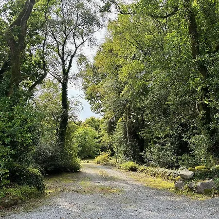 Forest Retreat * Sligo