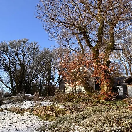 Holiday home Forest Retreat