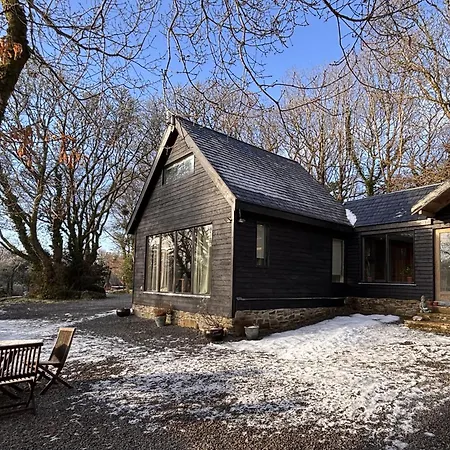 Forest Retreat *