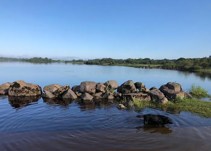 Forest Retreat Feriehus Sligo