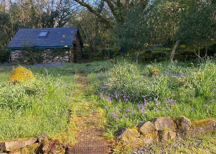 Forest Retreat Feriehus Sligo