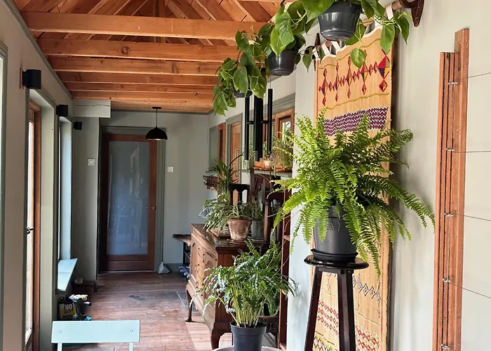 Forest Retreat * 슬라이고