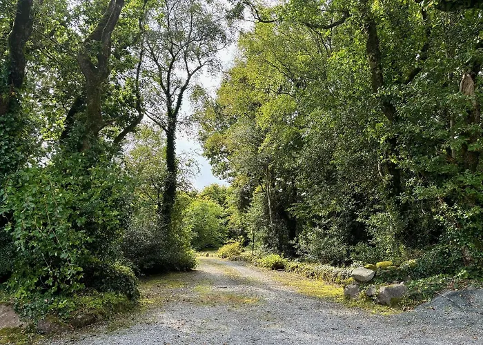 Forest Retreat * Sligo